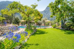 a garden with blue flowers and a swimming pool at S Olivar Major in Fornalutx