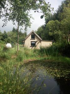 a house in a field next to a pond at Castaway Cabin in Tuamgraney