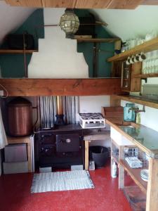 a kitchen with an old fashioned stove in a room at Castaway Cabin in Tuamgraney