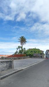 a street with a palm tree and a building at Volcanic Charming House in Ribeira Grande