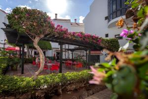 Ein Garten an der Unterkunft Apartamentos HG Cristian Sur