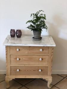 a wooden dresser with a potted plant on top of it at Allesø Gl. sognefoged gård in Odense