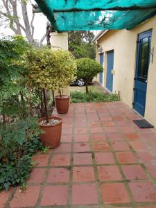 a walkway outside of a house with potted trees at Villa Tarentaal in Tulbagh