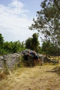 Galeriebild der Unterkunft Papafigo Camping in Vodnjan