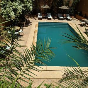 a blue swimming pool with chairs and a palm tree at Riad Bouchedor in Ouarzazate