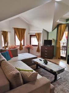 Posezení v ubytování Apartment Stasha with free access to gym