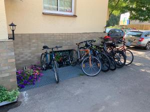 Jazda na bicykli v okolí ubytovania ZLATÁ-ÉRA
