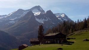 ein Haus auf einem Hügel vor einem Berg in der Unterkunft Stadel Soussun in Champoluc