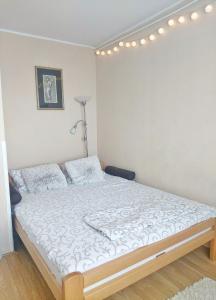 Afbeelding uit fotogalerij van Sunshine apartment in Pančevo