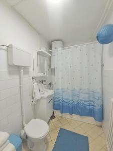a bathroom with a white toilet and a blue shower curtain at Sunshine apartment in Pančevo