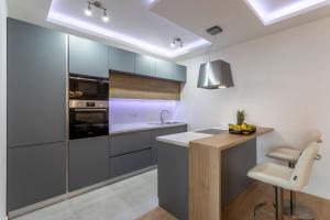 Kuchyňa alebo kuchynka v ubytovaní Luxury suite Elysium