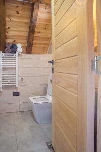 a bathroom with a toilet and a wooden door at Chamois Apartments Durmitor in Žabljak