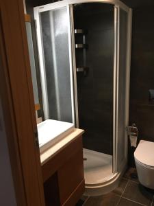 a bathroom with a shower with a sink and a toilet at Palheiro do Vale do Paiva in Cabril +33 photos