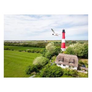 a bird flying over a red and white lighthouse at Austernfischer Haus in Pellworm
