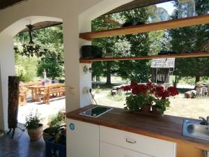 a kitchen with a view of a yard at Waldhaus Pat in Galambok