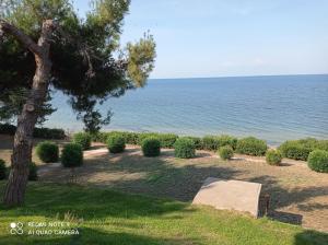 a park with a tree and the ocean at Sunset Apartment in Epanomi