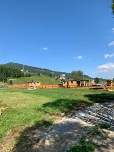 Ciocăneşti的住宿－La Casuta din Ciocanesti Exclusive，草地,有围栏,背景