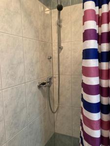 een badkamer met een douche en een douchegordijn bij Sunrise Apartments and Studio Apartments 1 in Lokva Rogoznica