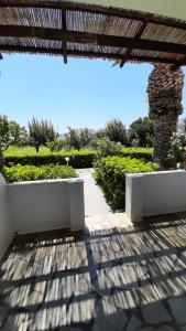 A garden outside Meroi Studios Molos