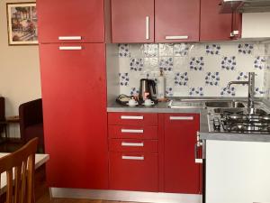 Kuchyň nebo kuchyňský kout v ubytování Donatello Apartment + 5 fotografií