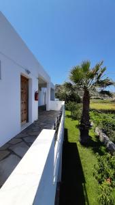 A garden outside Meroi Studios Molos