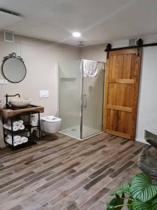 a bathroom with a shower and a toilet and a door at Zidanica Žagar in Dolenjske Toplice