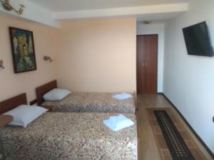 two beds in a small room with a tv on the wall at Panorama Family Hotel in Zlatograd