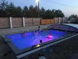 a group of people in a swimming pool at Famvarga Apartmanház in Balatonfenyves