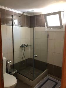 uma casa de banho com um chuveiro, um WC e uma janela. em Villa Alexandra em Agia Marina