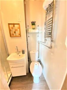 a bathroom with a toilet and a sink at Lovely Twin Room with Terrace in London