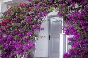 Zahrada ubytování Hotel Jaroal
