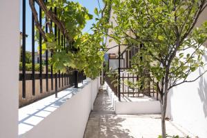 een rij bomen op een wit hek bij Soula Apartments in Ýpsos