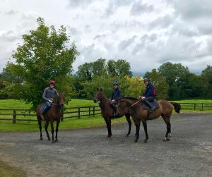 3 Menschen reiten auf Pferden auf einer Schotterstraße in der Unterkunft Rossmanagher House in Bunratty