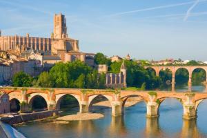 a bridge over a river in front of a city at Le Rinaldi LOFT in Albi