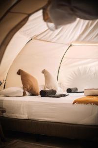 two birds sitting on top of a bed at Uman Glamping & Cenote Tulum in Tulum