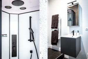 une salle de bain avec douche et lavabo dans l'établissement Le Rinaldi, à Albi 17 autres photos