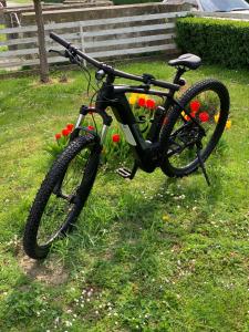 a black bike parked in the grass with flowers at Holiday Home Međimurski Raj in Štrigova