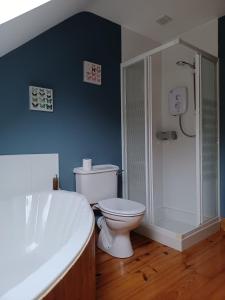 a bathroom with a toilet and a shower and a sink at AshBurnum Cottage in Bandon