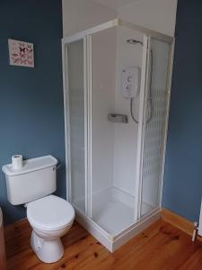 a bathroom with a shower and a toilet at AshBurnum Cottage in Bandon