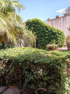 Vonkajšia záhrada v ubytovaní Villa Grande