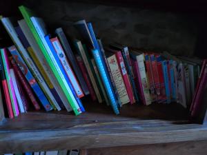 a row of books sitting on a shelf at Chambres dans le gîte "Rêves de Gamins", proche du pôle Européen et du circuit des 24h in Sargé Les Le Mans 