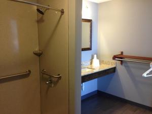 a bathroom with a sink and a mirror at Safari Inn - Murfreesboro in Murfreesboro
