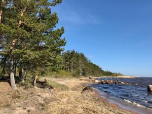 Fotografie z fotogalerie ubytování Rehe Holiday Home v destinaci Rootsiküla