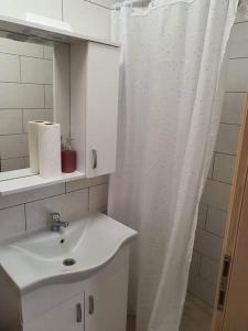 Un baño con lavabo y cortina de ducha. en Aldi 3, en Pula