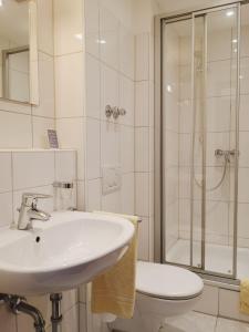 La salle de bains est pourvue d'un lavabo, d'une douche et de toilettes. dans l'établissement Hotel Meuser, à Wiesbaden