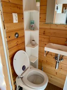 a bathroom with a toilet and a sink at Houseboat Ginger Prague in Prague