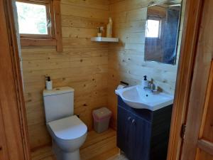 a bathroom with a toilet and a sink at Cyprus Glamping Park in Ayios Theodhoros