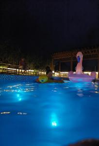 Heaven's Gate Home Stay --free pick up service--panoramic view of Tianmen Mountain内部或周边的泳池