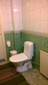 uma casa de banho com um WC branco e azulejos verdes em Homestay cozy hosting em Tervakoski