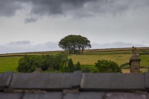een uitzicht op een veld met een boom in de verte bij Millie's Bed & Breakfast in Hayfield